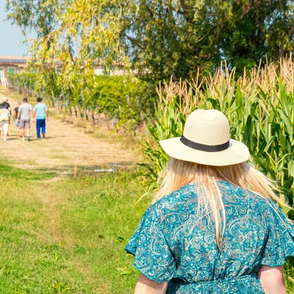 Picnic d'Autore in vigneto: l'Essenza del Lago di Garda a Lazise 16